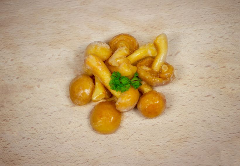 Gomba, nameko tőkegomba